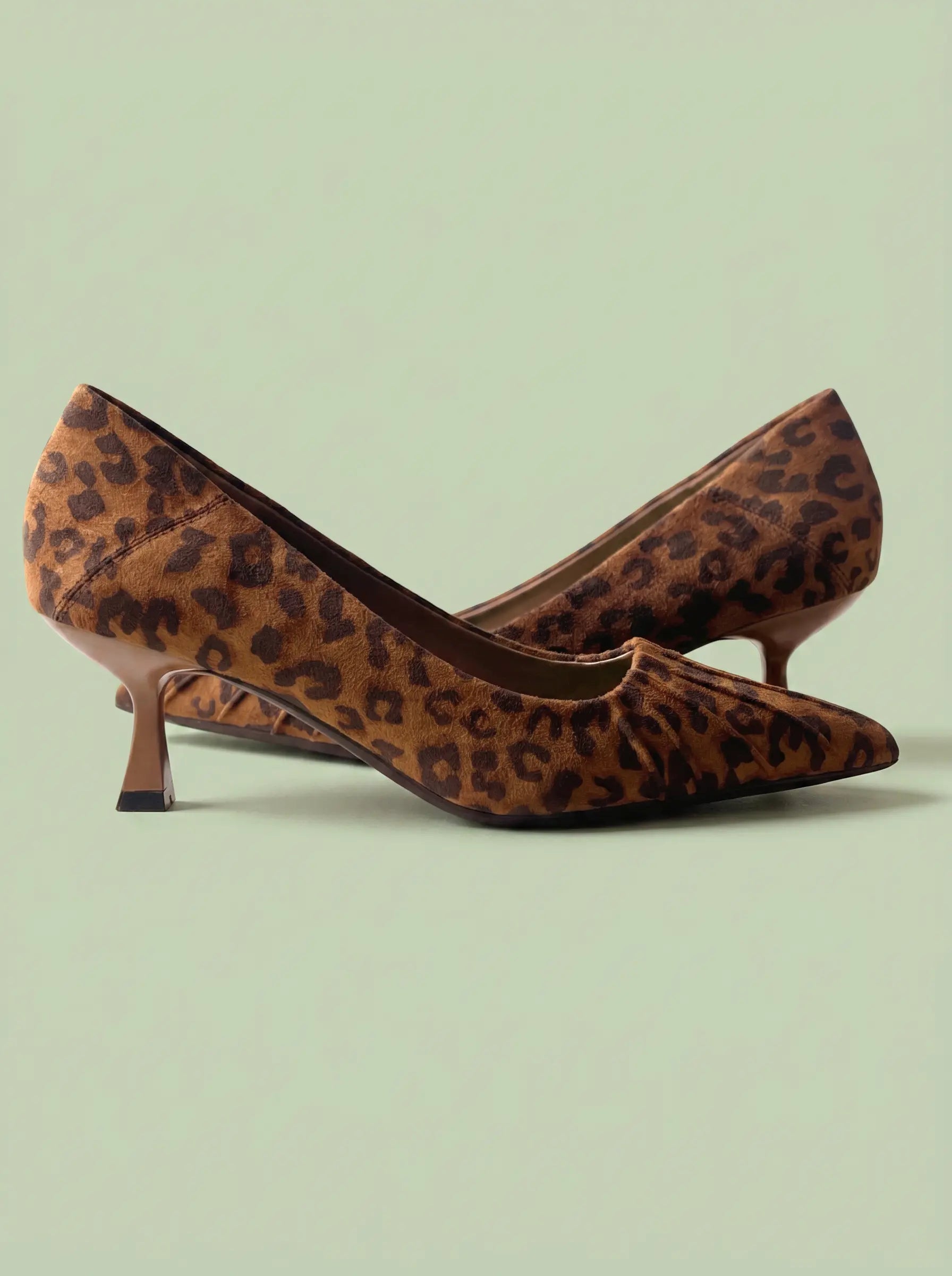 LEOPARD_AV